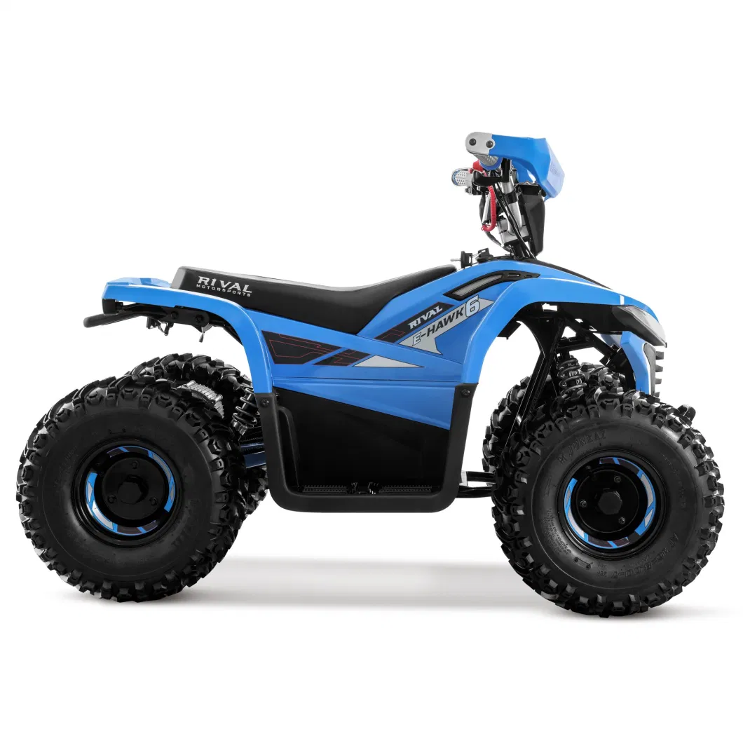 48V 1600W 4 Wheeler Quad Bike Electric ATV for Kids