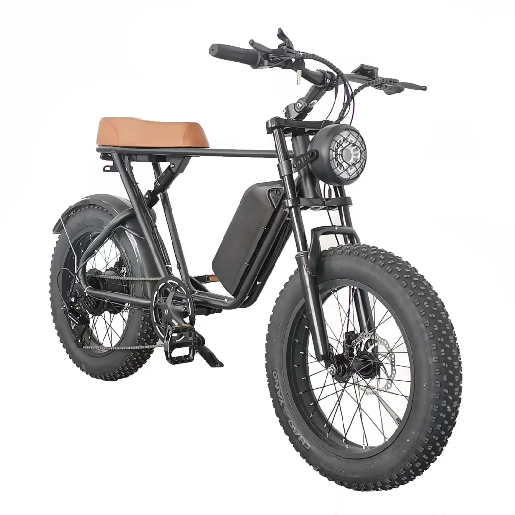 EU Us Warehouse Wide Tire off-Road Electric Bicycle High Speed 48V 1000W Lithium Battery Aluminum Alloy Ebike