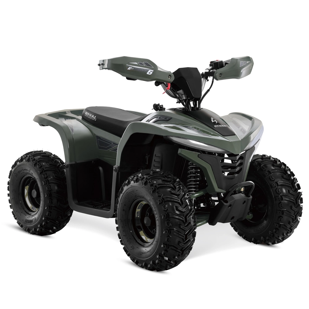 2023 New Lithium Battery 48V 1600W Electric ATV for Kids