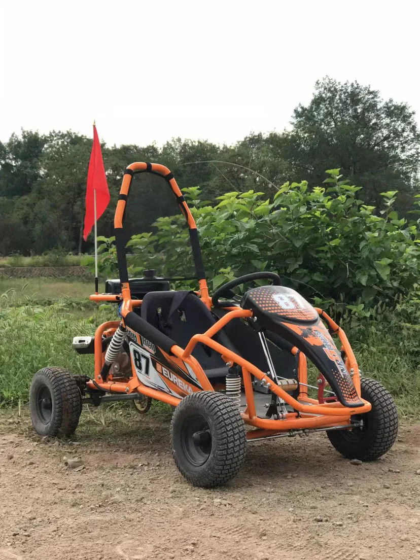 110cc Mini Go Kart with 6inch Wheel Can Work on Beach Garden off Road Buggy