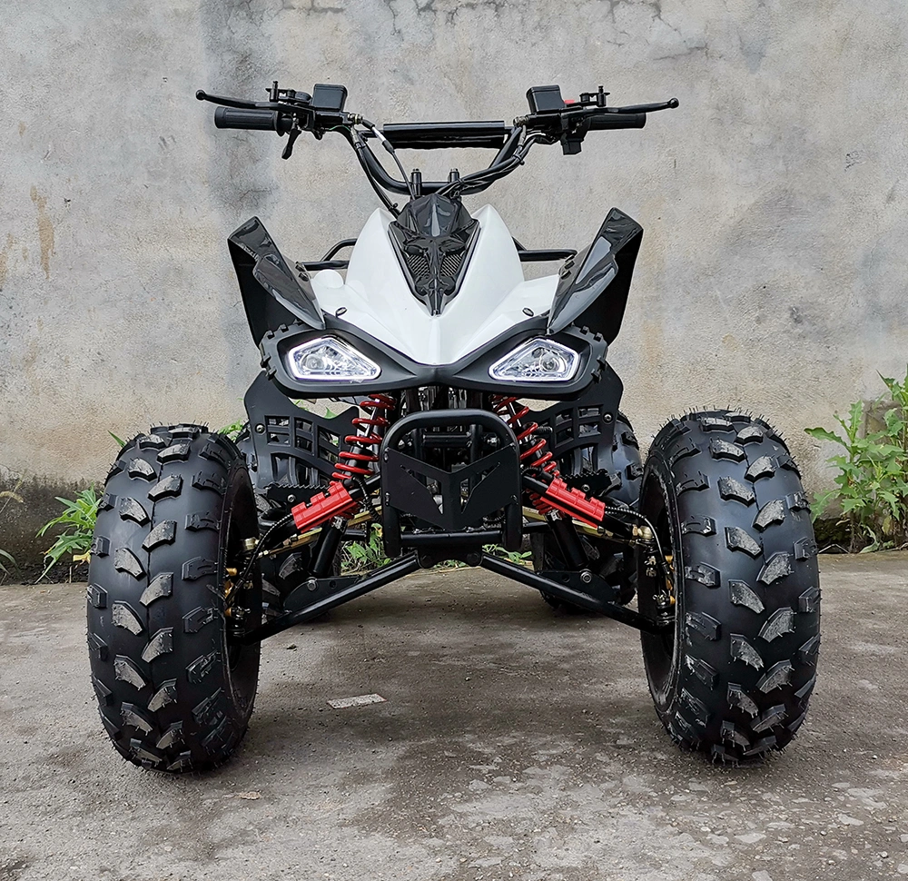 110cc 125cc 4 Wheeler Gas Quadricycle Quad ATV Bike