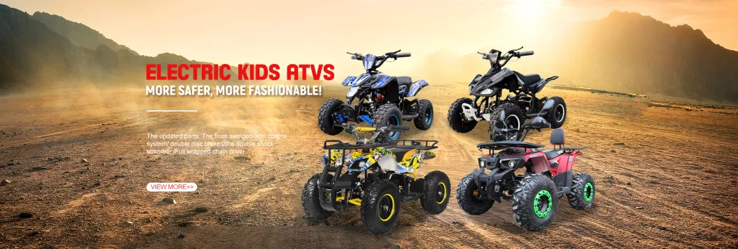 Quad Atvs for Children 4 Wheeler for Teenagers Electric 1000W 36V Mini Electric Quads