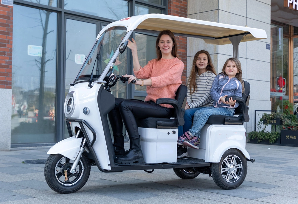 Three-Wheeled Electric Vehicle Three-Seater