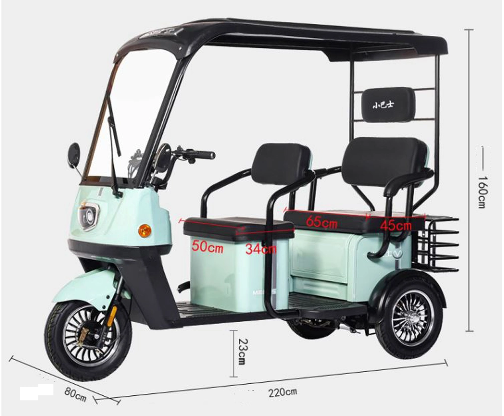 Three-Wheeled Electric Vehicle Three-Seater