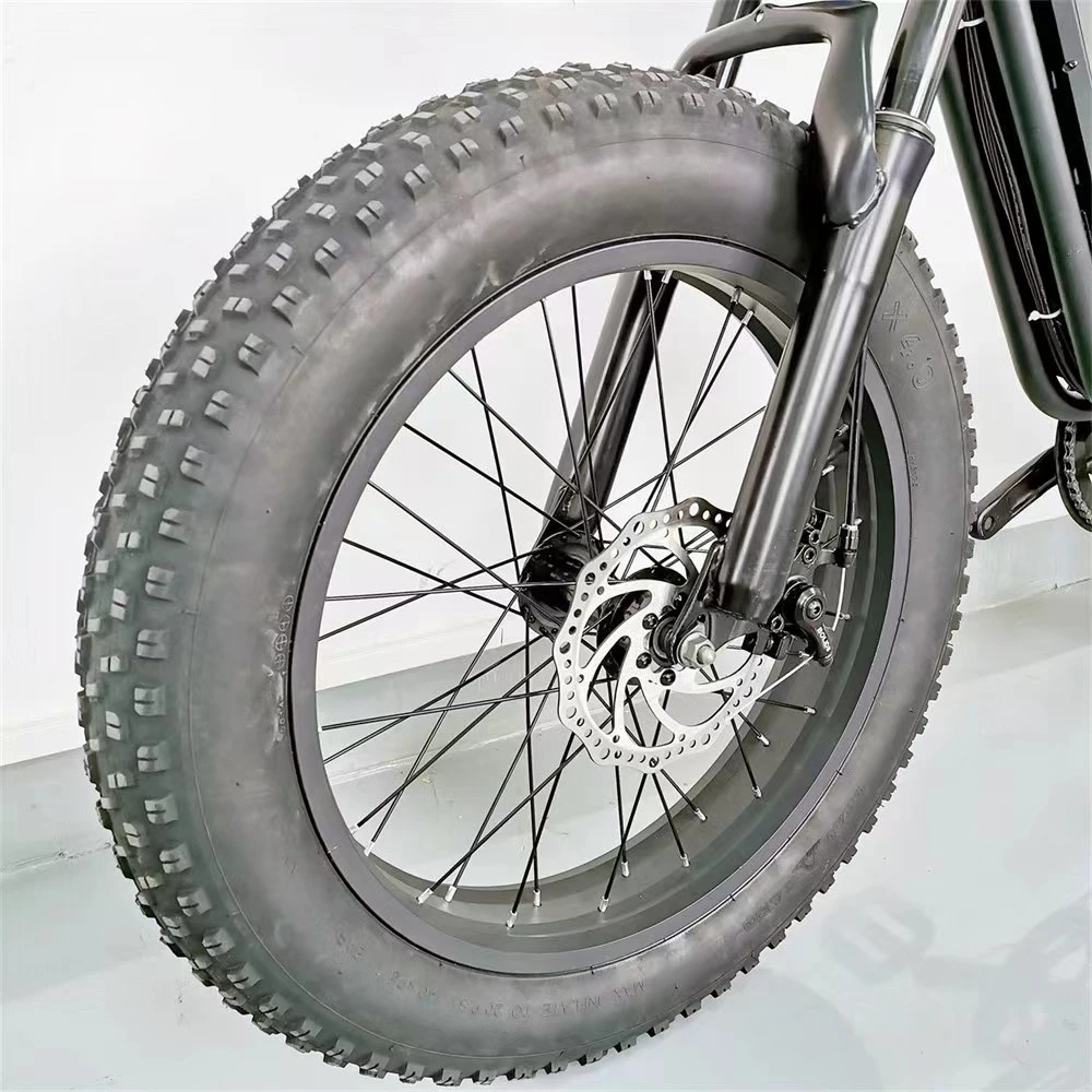 EU Us Warehouse Wide Tire off-Road Electric Bicycle High Speed 48V 1000W Lithium Battery Aluminum Alloy Ebike