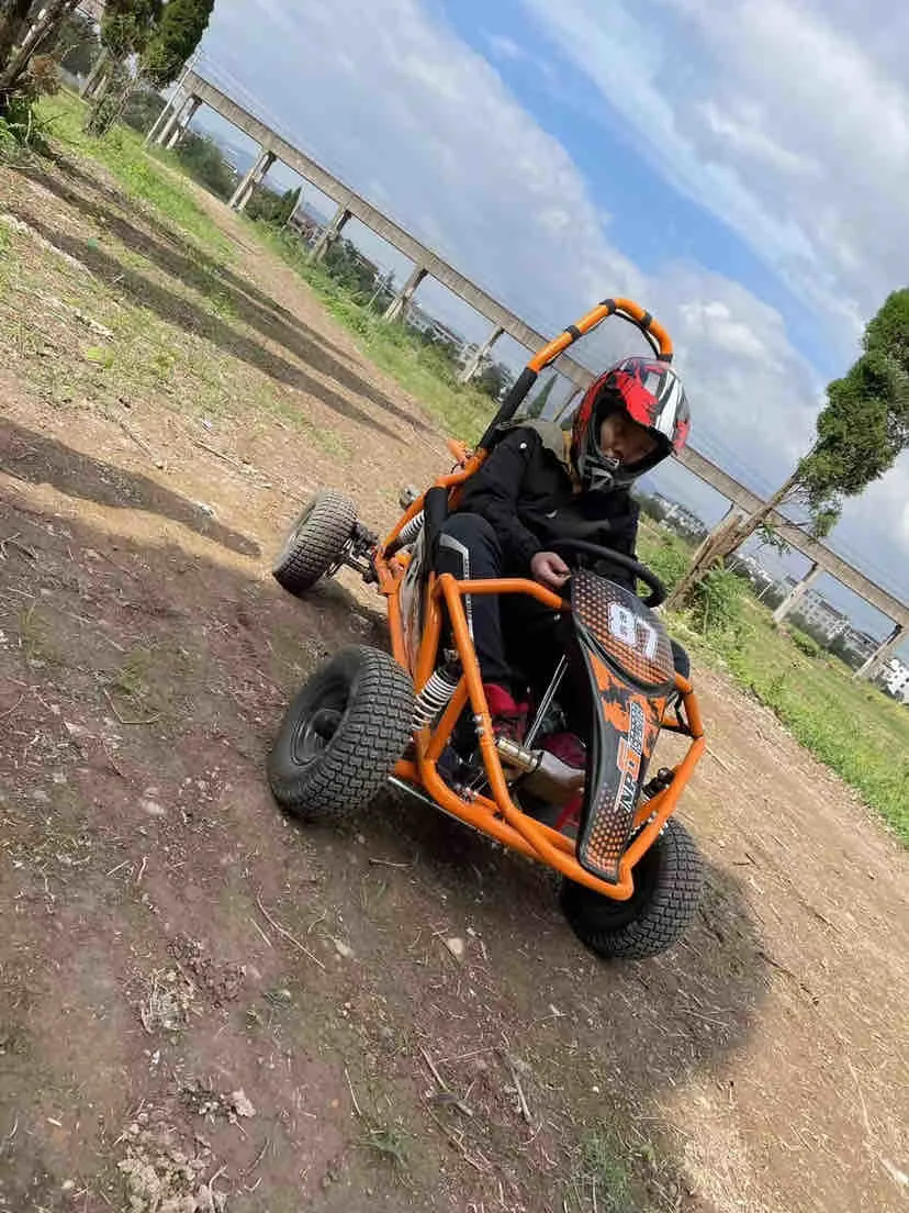 110cc Mini Go Kart with 6inch Wheel Can Work on Beach Garden off Road Buggy