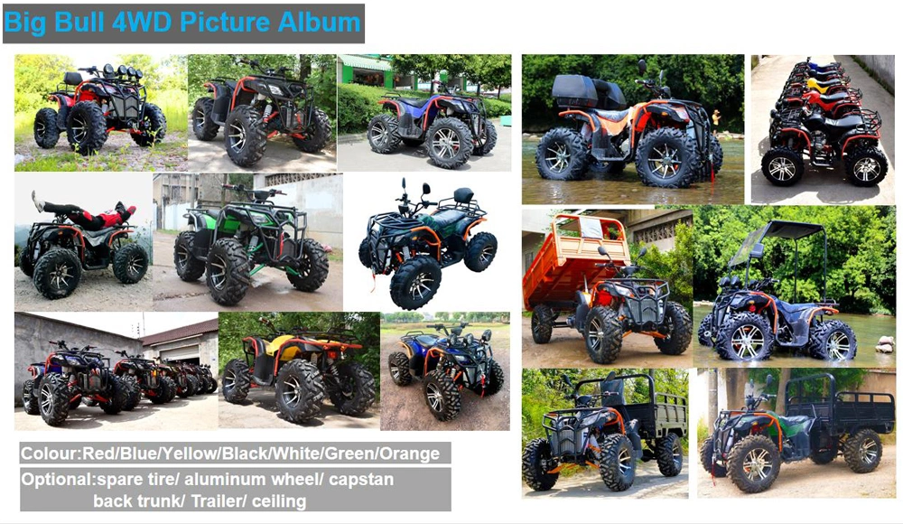 Big Bull 250cc/300cc Shaft Drive Quad ATV 4X4 ATV