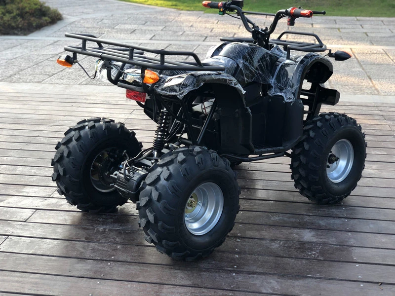 Terrain off-Road ATV 48V750W Electric Quad Bike ATV