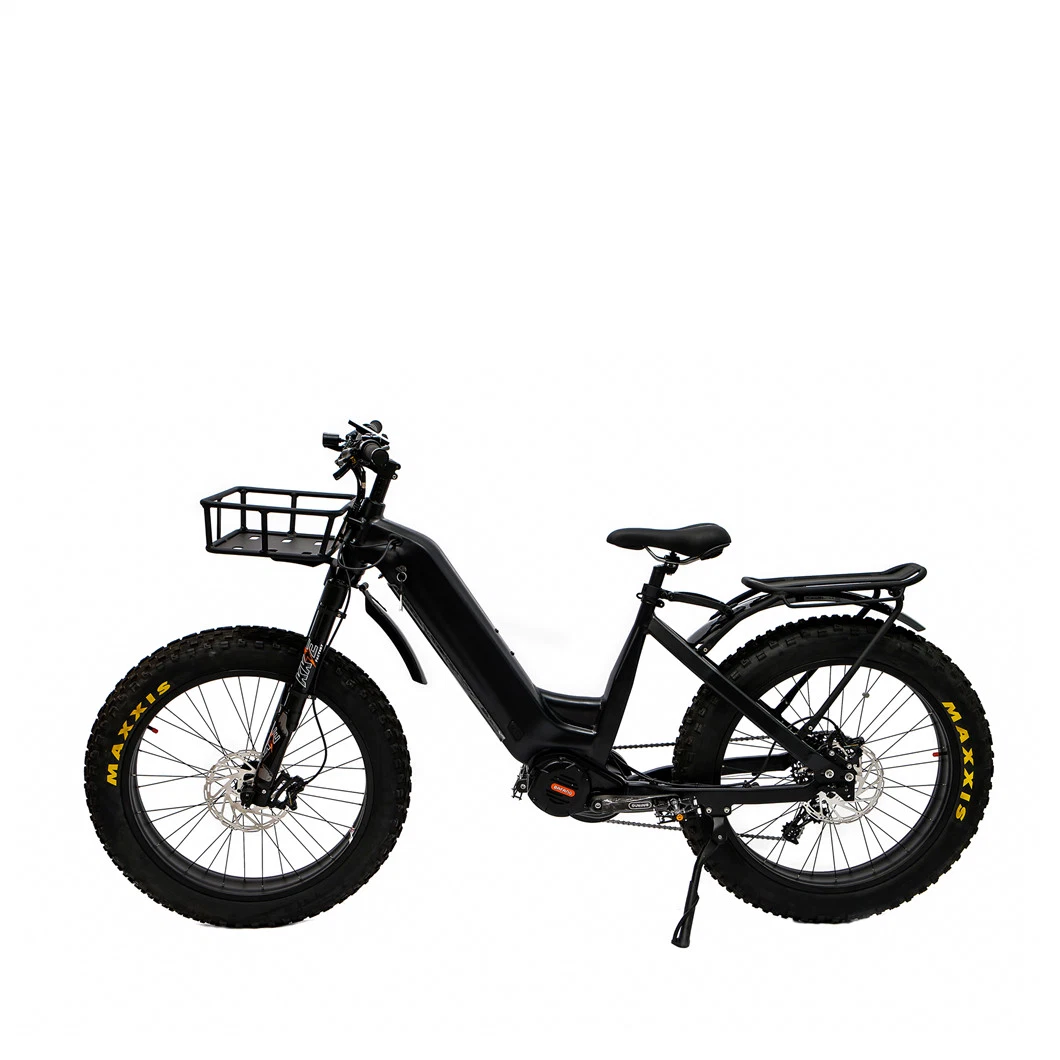 Factory Sale Electric off-Road Bikes 1000W Ebike with MID Motor, Removable Battery, LCD Display 26 Inch Fat Tire E-Bike