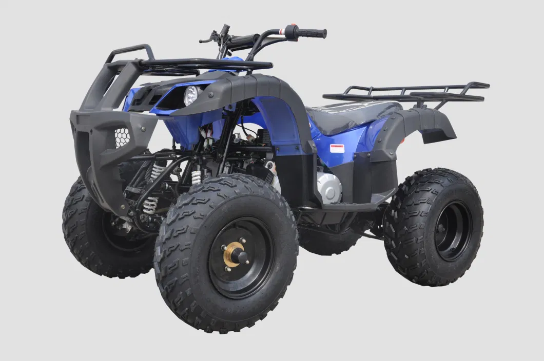 Petrol Engine 200cc Powerful 4X2 ATV Quad