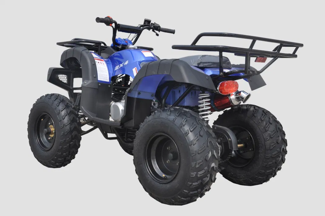 Petrol Engine 200cc Powerful 4X2 ATV Quad