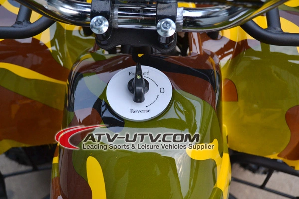 New CE Approved 500W/800W/1000W Electric ATV Quads Bike