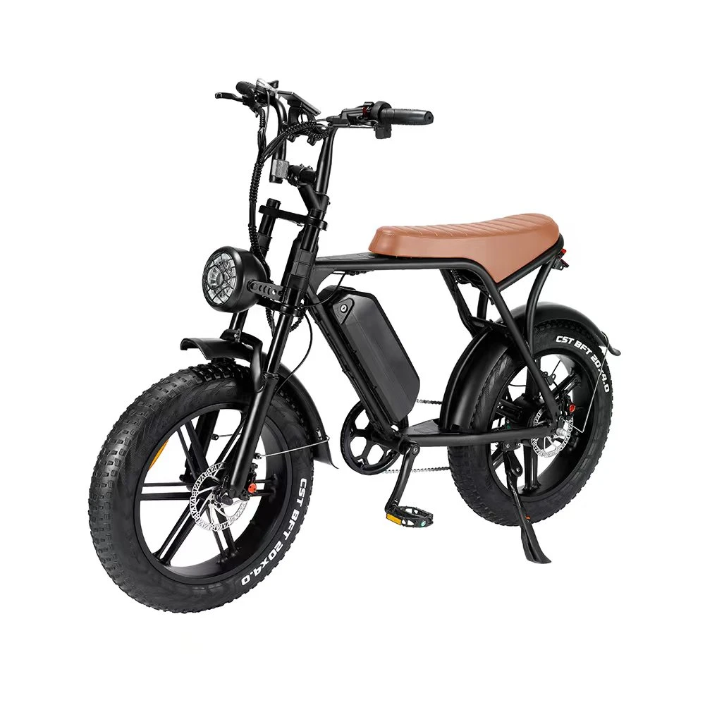 2024 New All Terrain 500-1000W off Road Bicycle Electric Bike 20*4.0inch Fat Tire E Bicycle Beach Cruise E-Bike