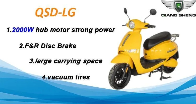 2021 Wholesale 800W 1000W Electric Offroad Scooters with 2bseats for Adults