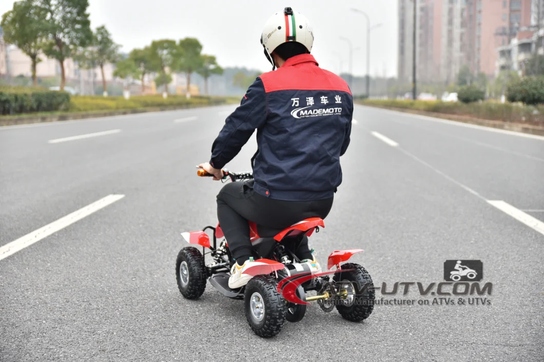 4 All Kids Fast 500W 800W 1000W 1500W 2000W 3000W 5000W 36V 48V 60V Electric ATV Quads