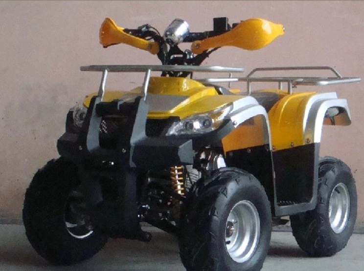 New Body Design 110cc Ce Approved Racing Quad Et-ATV005)