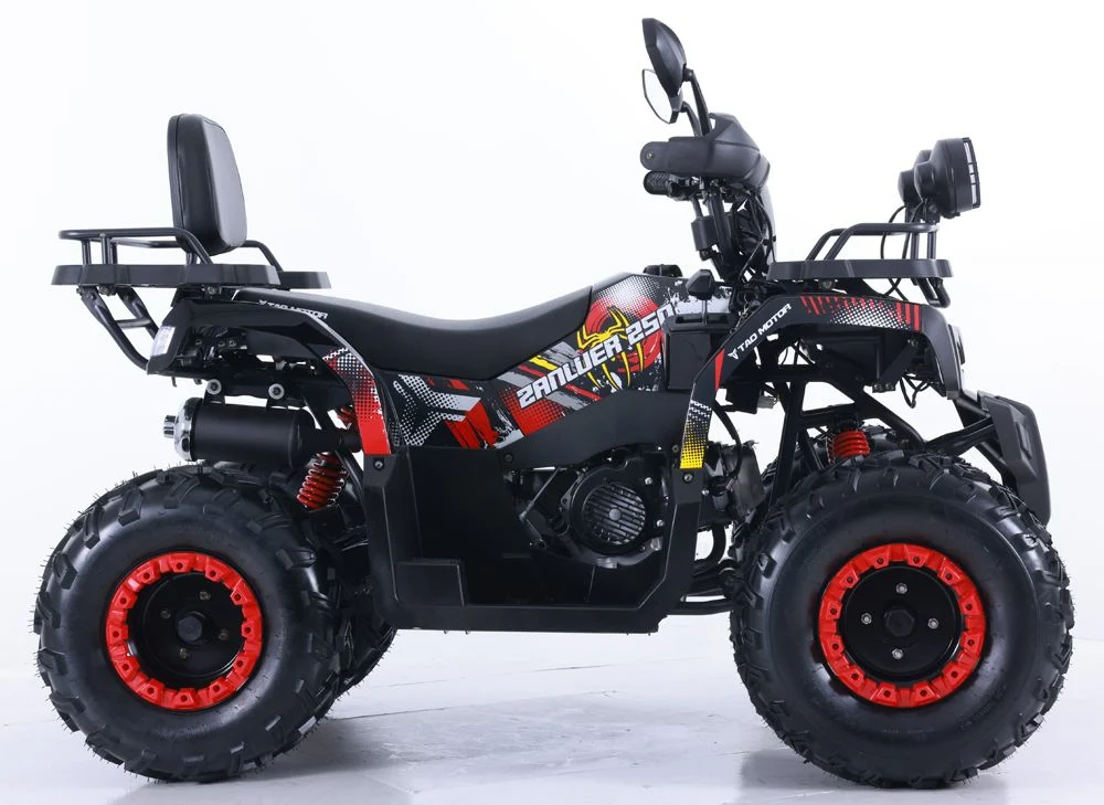 Tao Motor 2024 New Automatic Farm ATV Quad Bike200cc 250cc ATV