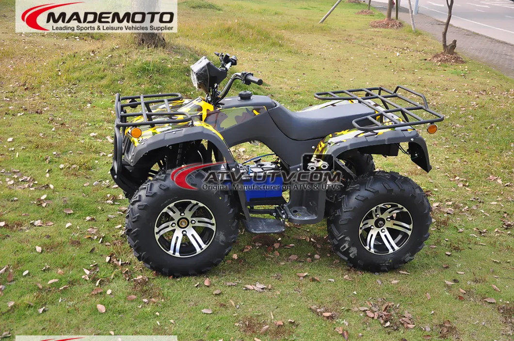 4000W 5000W China Factory Direct Sell Big Size Adult Electric ATV 4X4