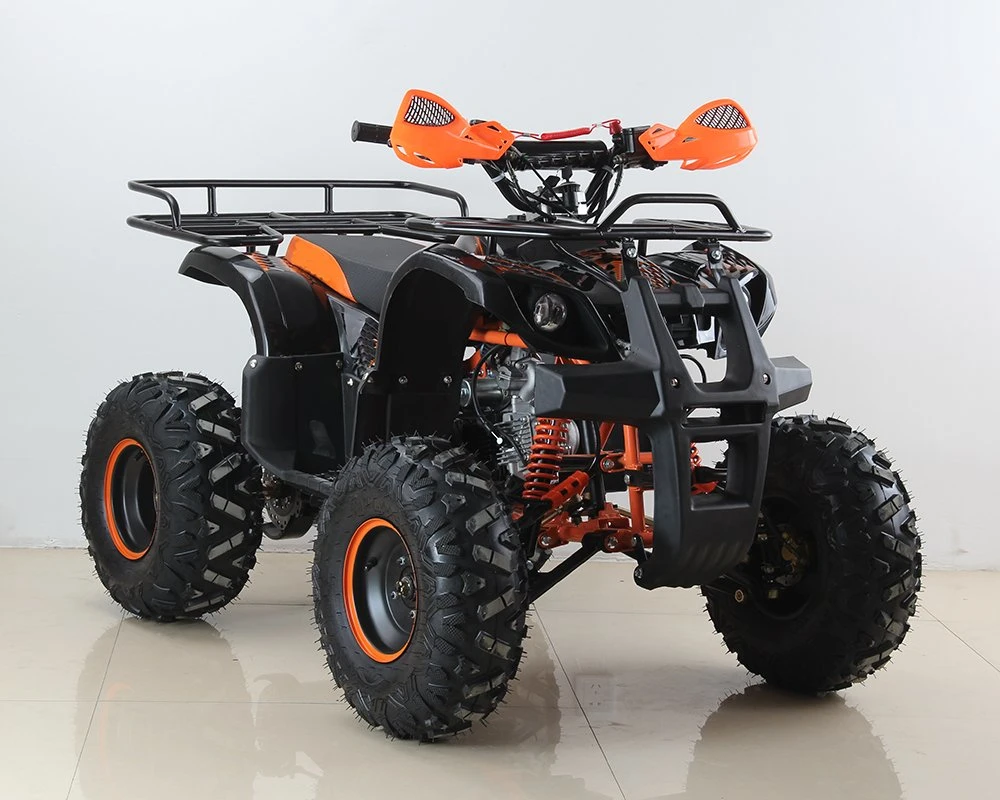 110cc/125cc ATV Quad Bike Hot Sales