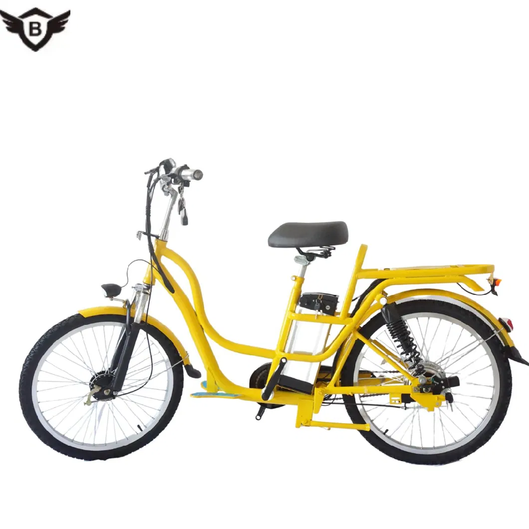 China Factory Custom-Made Classic Two-Wheeled Electric Vehicle for Elderly Woman Electric Bicycle