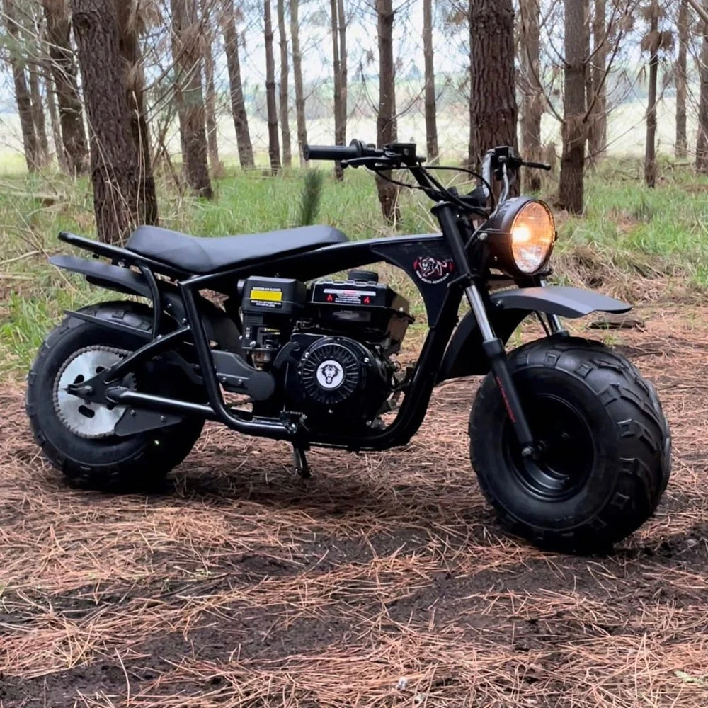 Tao Motor 200cc Fat Tire off Road Mini Bike