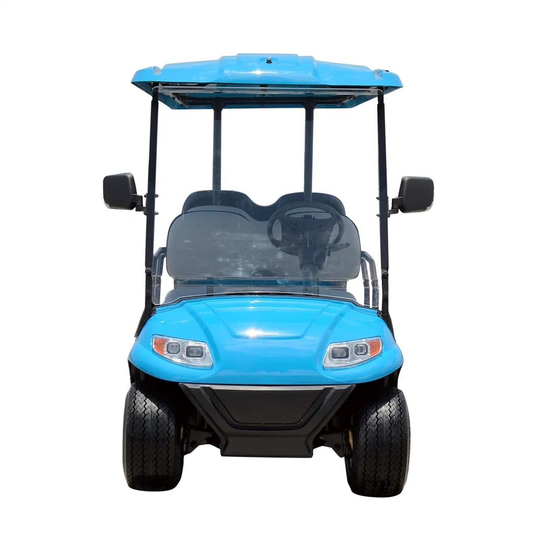 4 Wheel Drive Strong Power Lithium Battery Four-Wheeled Competitive Price Electric Vehicle