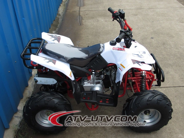 Cheap Price OEM on Chinese 50cc 110cc Quad Bikes ATV Land Cruiser Beach Motorcycle for Sale