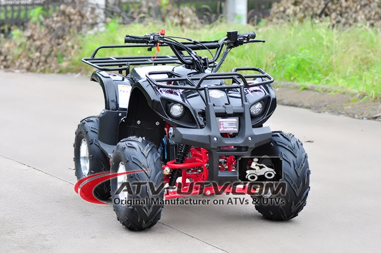 Street Legal 110cc 125cc 200cc 250cc Atvs Quad for Adults