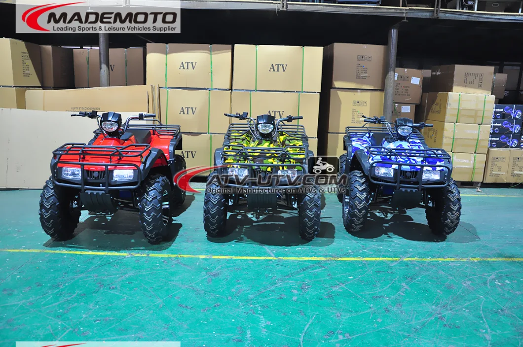 4000W 5000W China Factory Direct Sell Big Size Adult Electric ATV 4X4