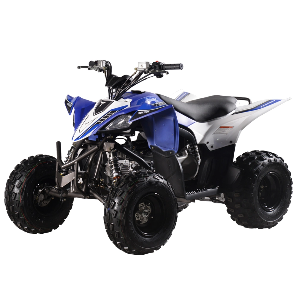 4 Wheels off-Road Quad Bike ATV 110cc All-Terrain Vehicle