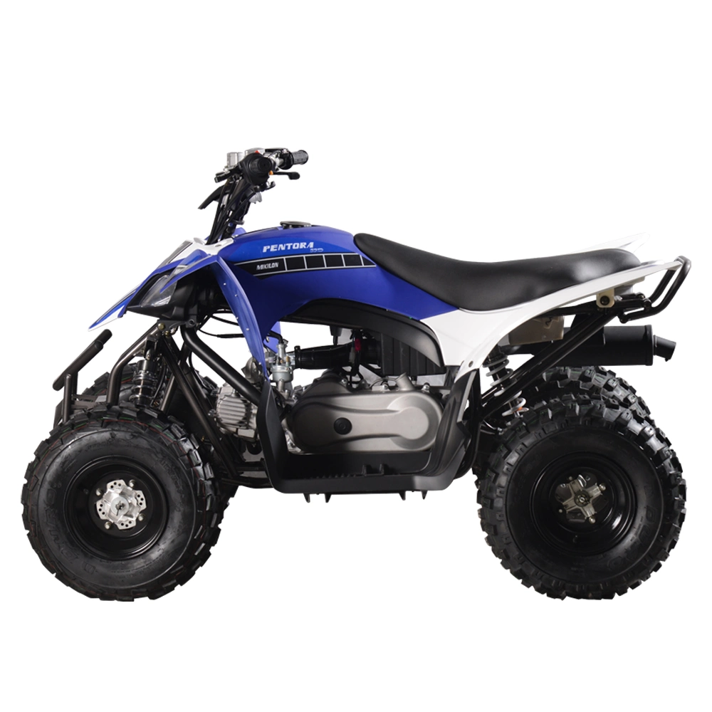 4 Wheels off-Road Quad Bike ATV 110cc All-Terrain Vehicle