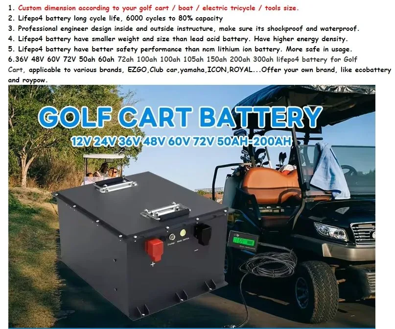 48V72V Power Battery LiFePO4 Four-Wheel Tour Car Golf Cart Lithium Iron Phosphate Battery Pack