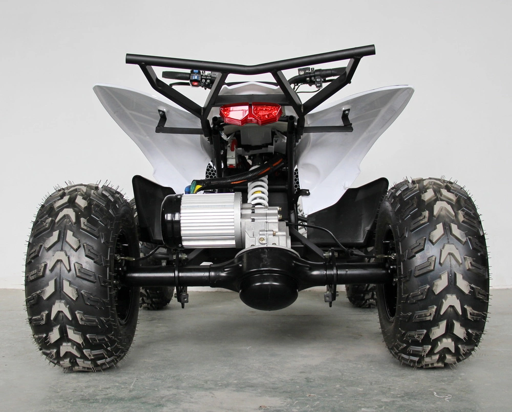 Dew Design Raptor Sport Electric Quad Bikes for Adults Four Wheels ATV 4000W 5000W 8000W