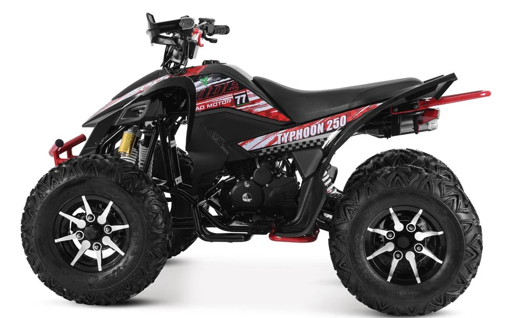 2024 New Design Cuatrimoto Sport ATV Racing Quad