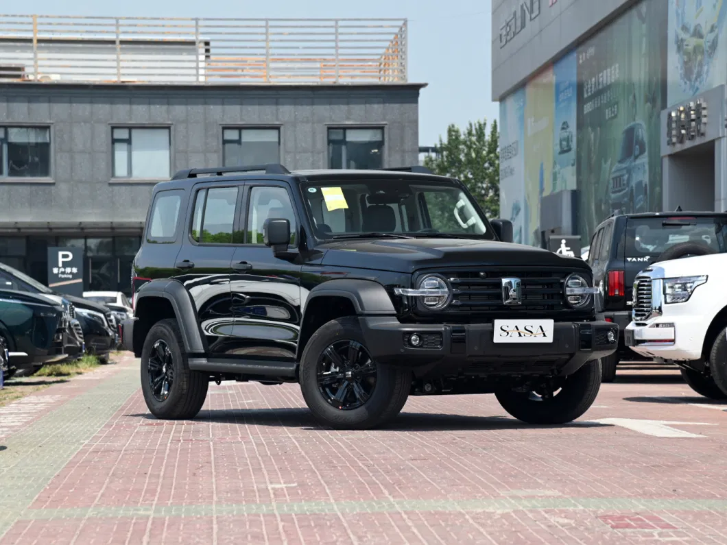 All Terrain Comfortable off-Road Vehicles in China Tank 300 Used Cars at a Low Price