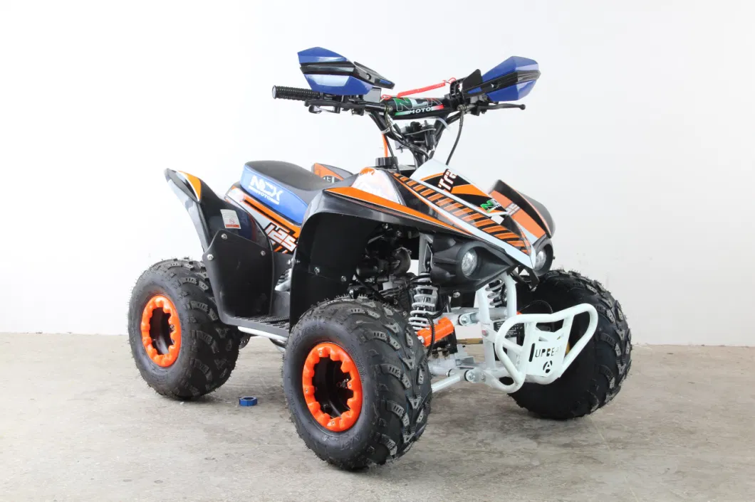 110cc/125cc ATV Quad Bike Hot Sales