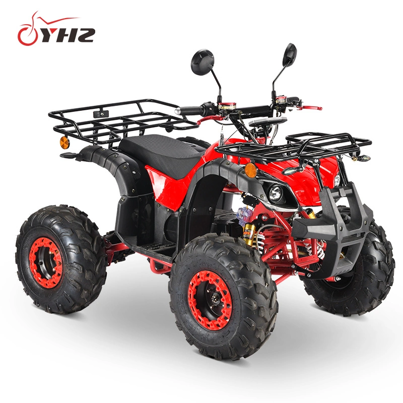 Four Wheeled All Terrain Vehicle off-Road Motorcycle Electric ATV&Quad 2000W EEC