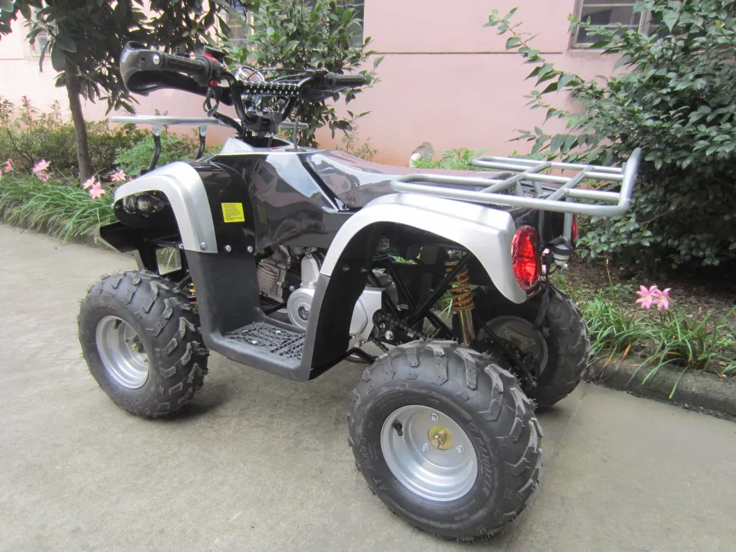 New Body Design 110cc Ce Approved Racing Quad Et-ATV005)