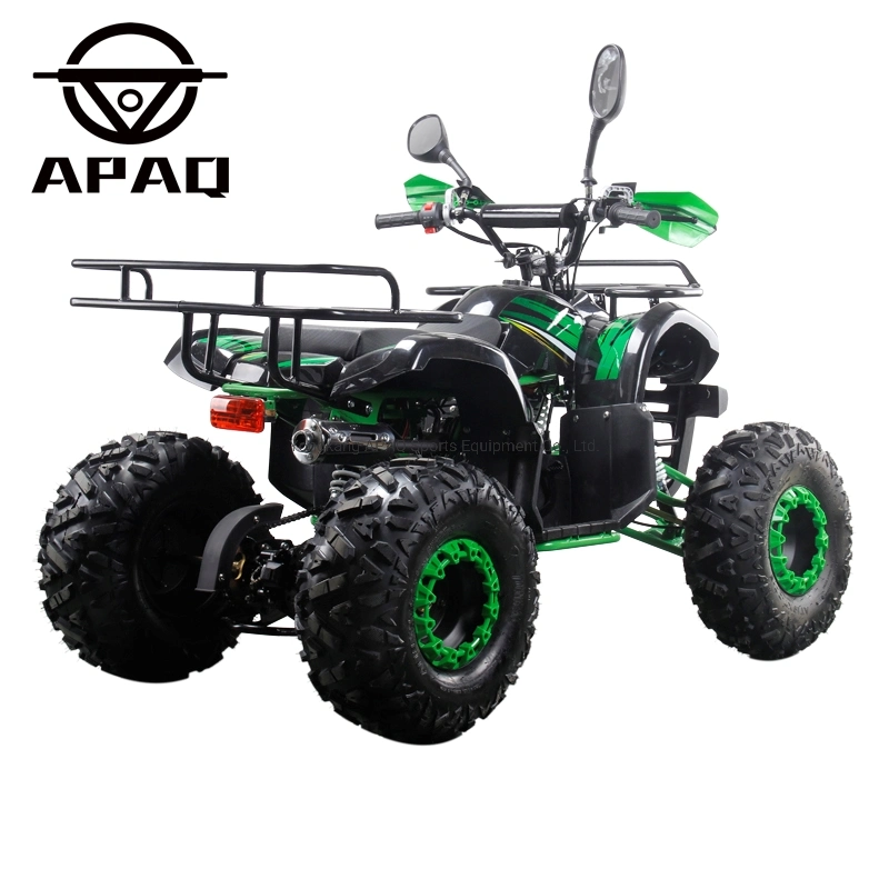 4 Wheels 125cc 110cc ATV Quad Bike Toy for Teenager