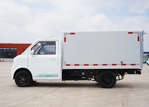 Panic Buying All-Electric Vehicle High Load Ability Cargo-Carrying Capacity 530kg All New Without Plate EV Truck for Carrier LHD