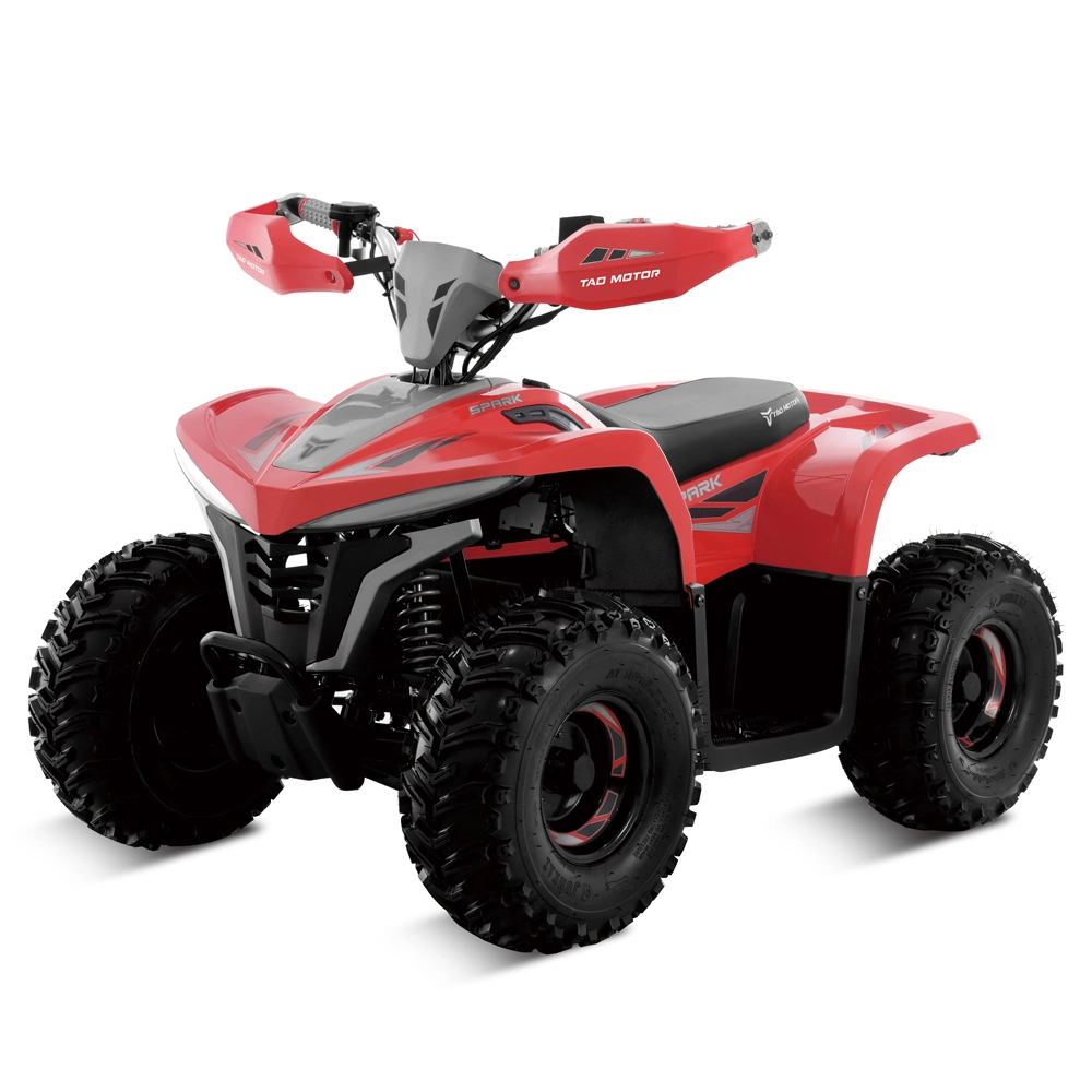 Electric Bike ATV Bike Four Wheeler Atvs Electric Quad