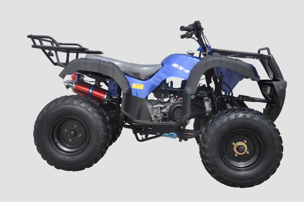 Petrol Engine 200cc Powerful 4X2 ATV Quad