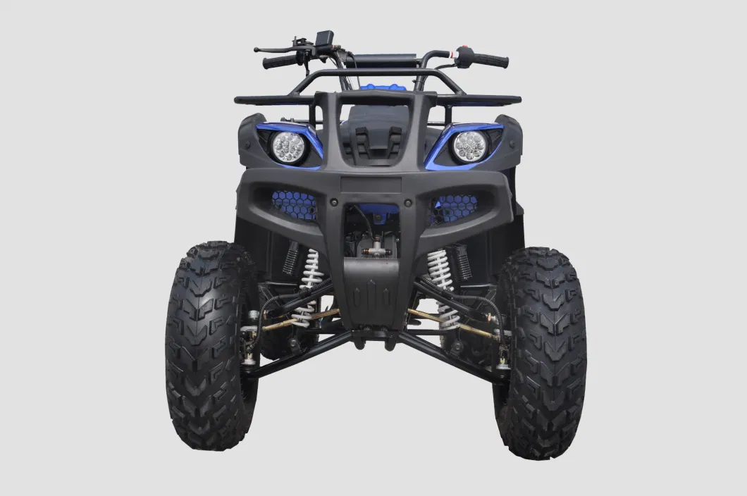 Petrol Engine 200cc Powerful 4X2 ATV Quad