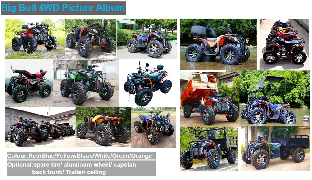 China Made 250cc/300cc Adult Four-Wheel All-Terrain off-Road Mountain Motorcycle Dune Quad Bike ATV