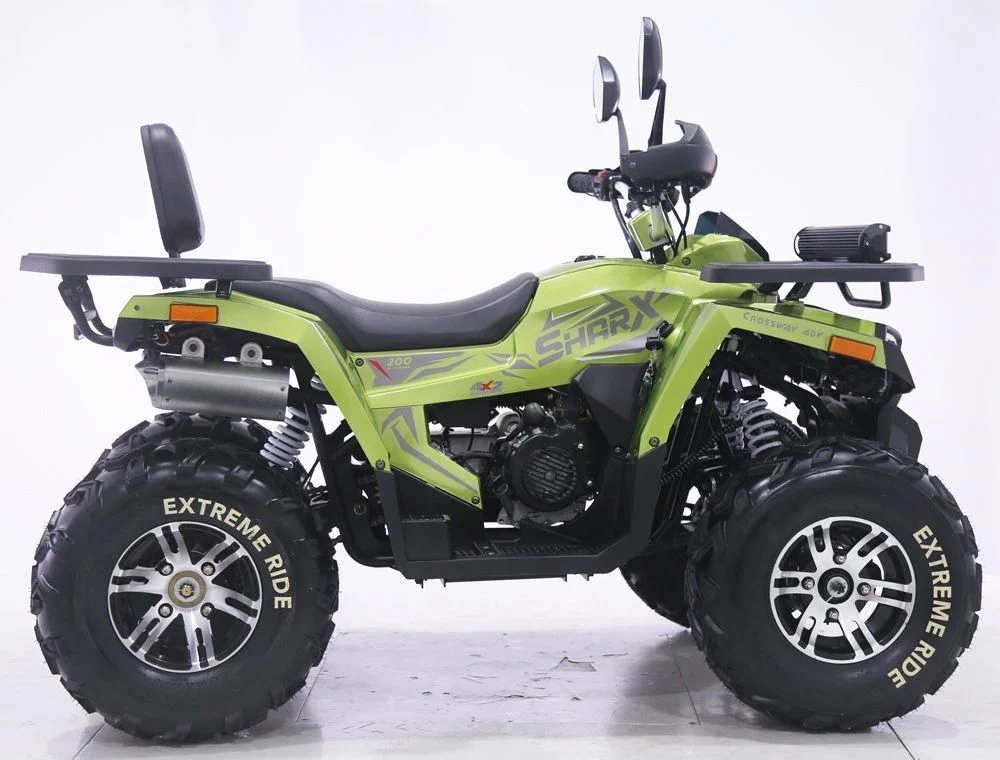 Tao Motor 2024 New Automatic Chain Drive Quad Bike 200cc 250cc ATV