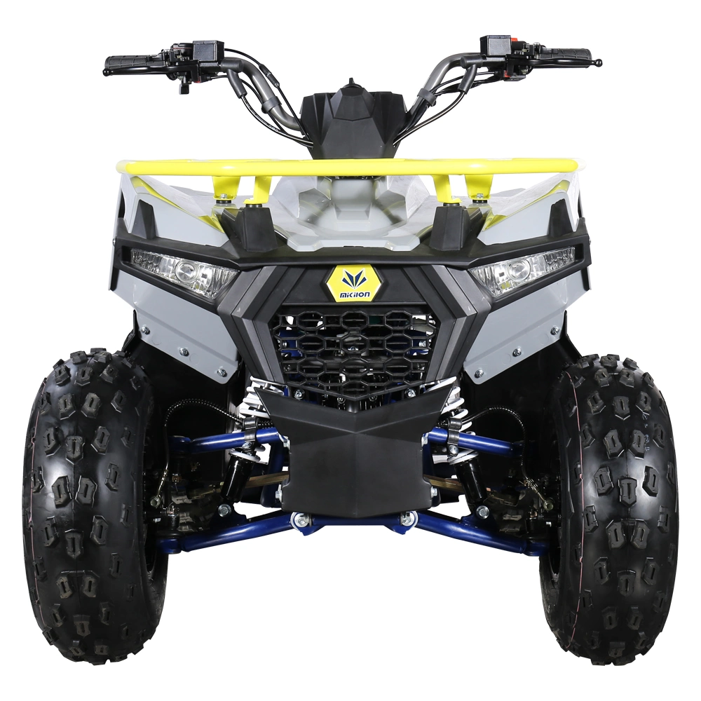 Mini UTV 125cc All Road Quad Bike