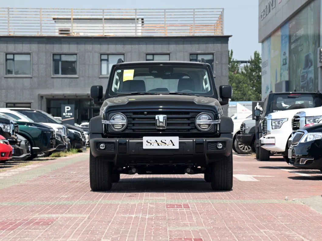 All Terrain Comfortable off-Road Vehicles in China Tank 300 Used Cars at a Low Price Sold