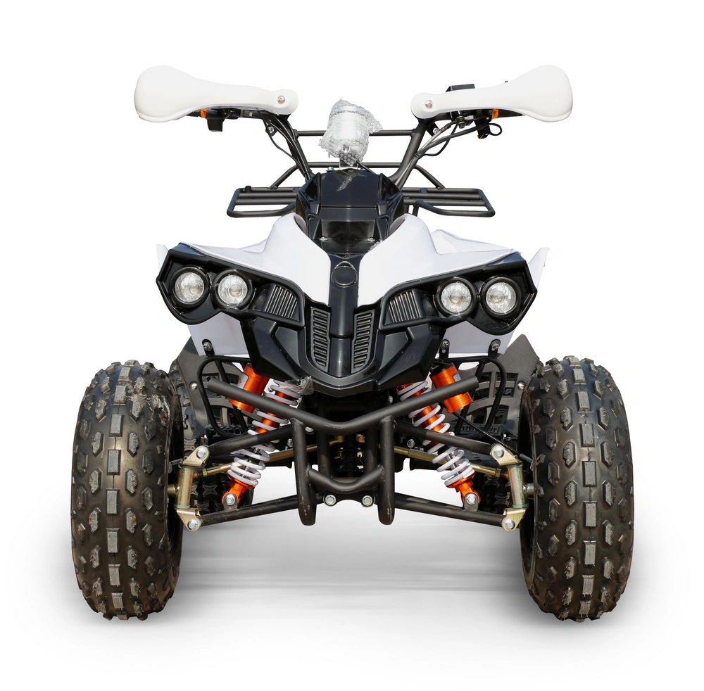 1500W 60V Electric Quad ATV Middle Quad Electric 1500W