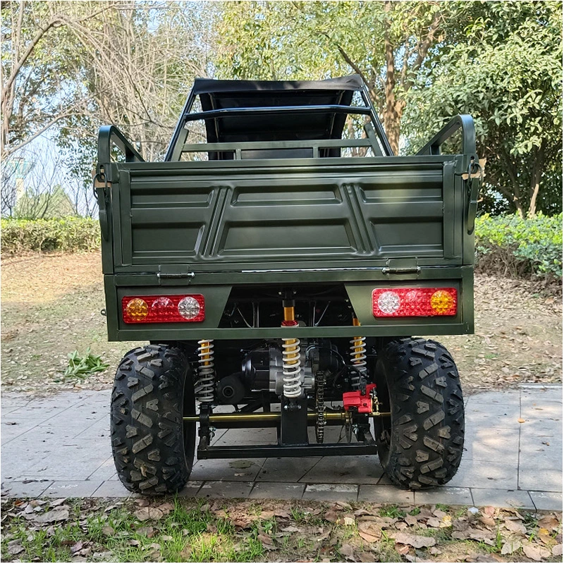 New Type All-Terrain off-Road Vehicle 60V 1500/2200/3000W Farm Utility Vehicle Land Cruiser Dune Buggy Electric UTV