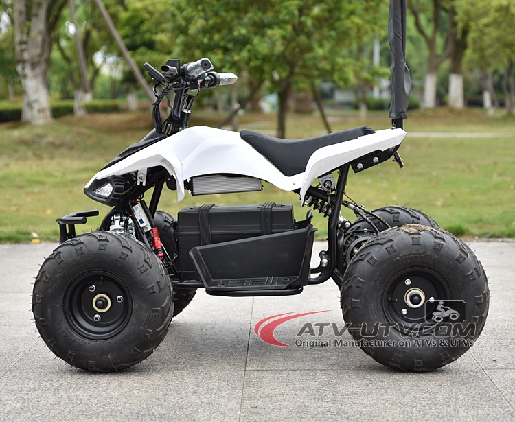 Best Price on Kids 48V 800W DC Motor Electric ATV Wheeler Quad